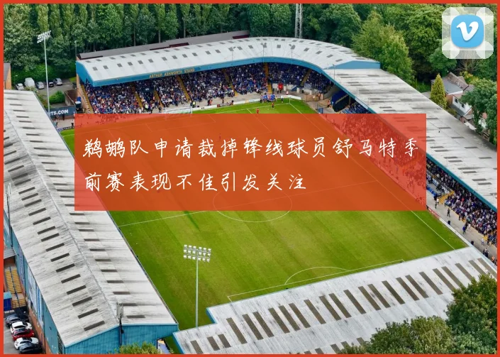 鹈鹕队申请裁掉锋线球员舒马特季前赛表现不佳引发关注