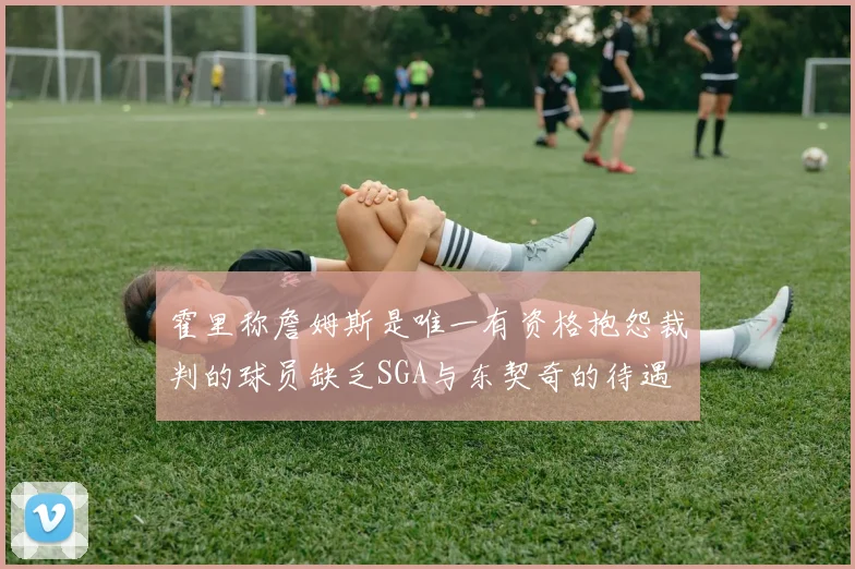 霍里称詹姆斯是唯一有资格抱怨裁判的球员缺乏SGA与东契奇的待遇
