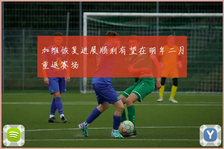 加维恢复进展顺利有望在明年二月重返赛场
