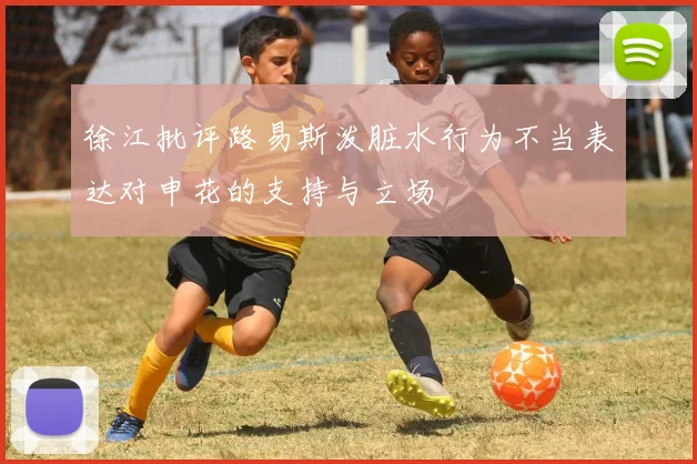 徐江批评路易斯泼脏水行为不当表达对申花的支持与立场